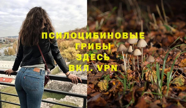 метадон Заволжье
